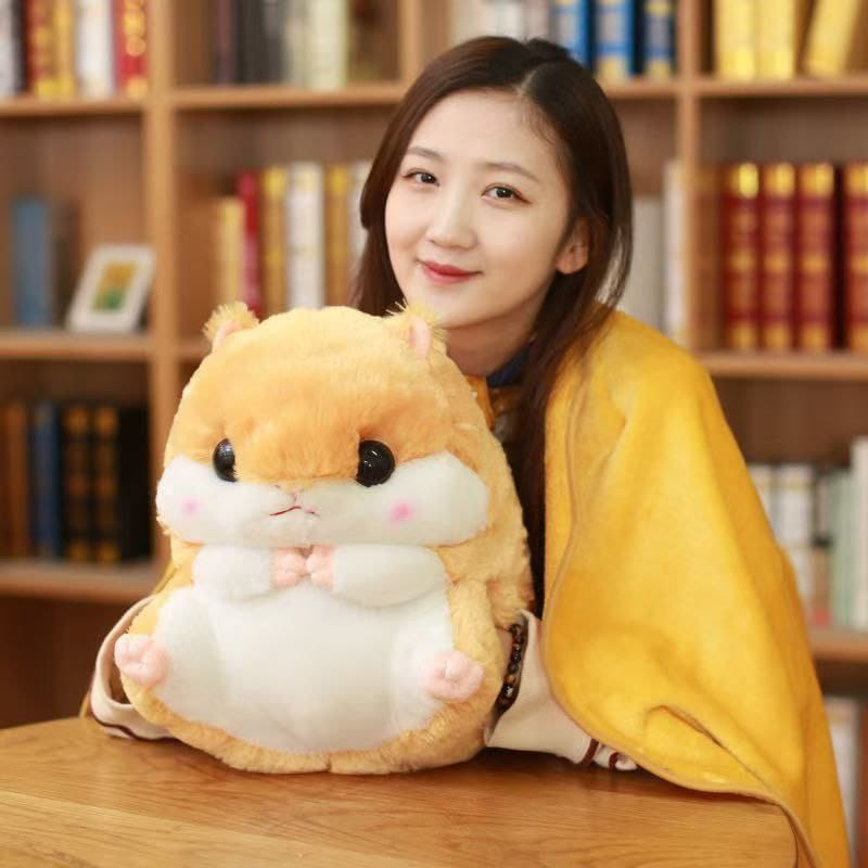 Peluche + Manta Diferentes diseños 2 en 1 4.0