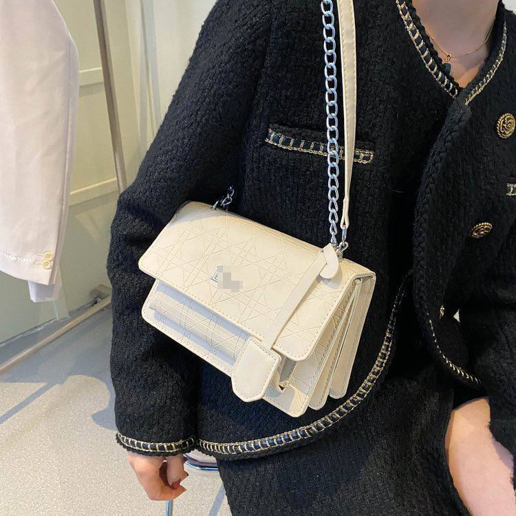 A. Cartera elegante Dior 14.0