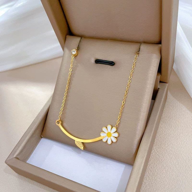 Collar Acero Quirurgico B1