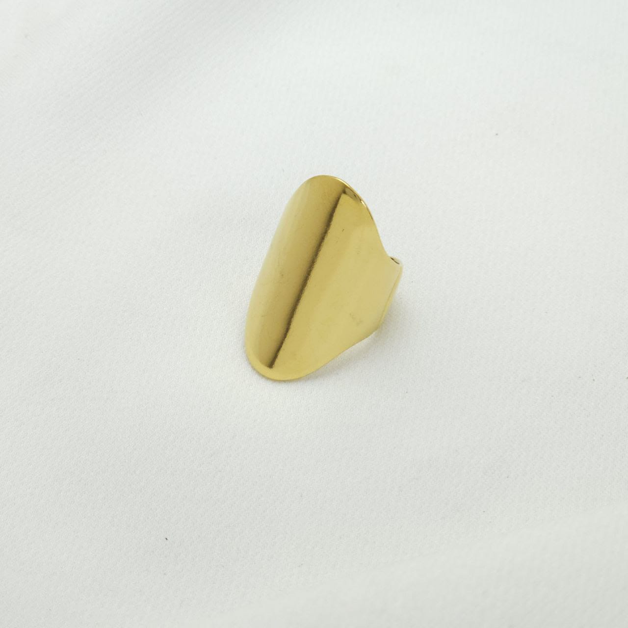 Anillo en Acero Quirurgico B1