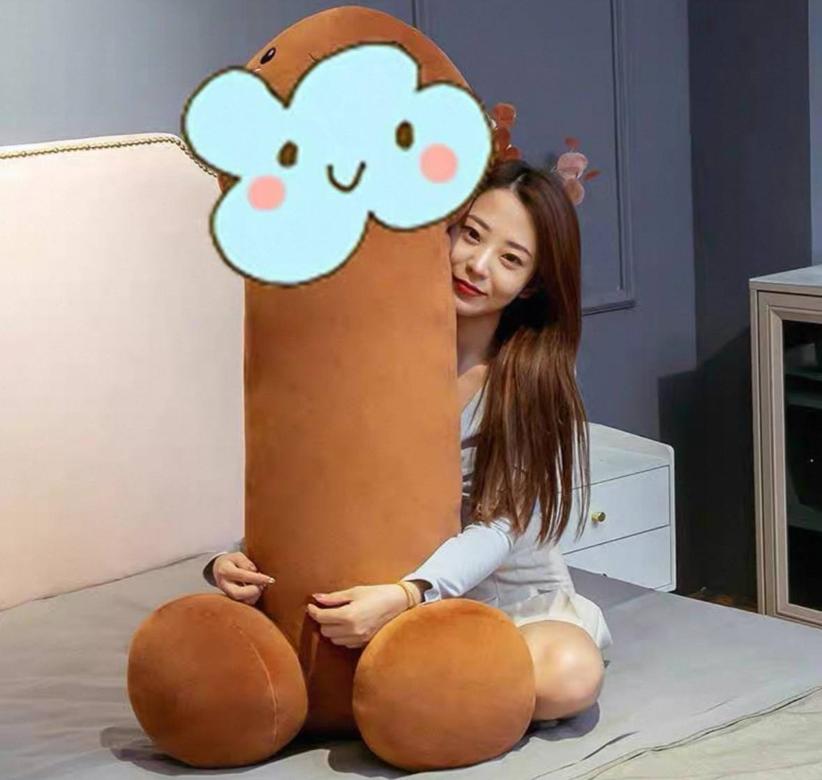 PELUCHE TIPO ALMOHADA 13.0