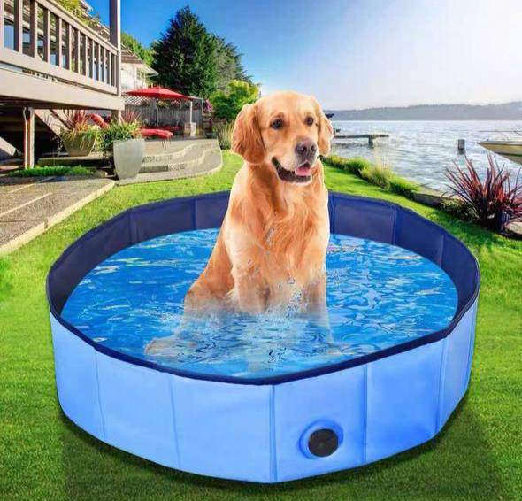 🐶 PISCINA PARA MASCOTAS 13.0 - MASCOTA -
