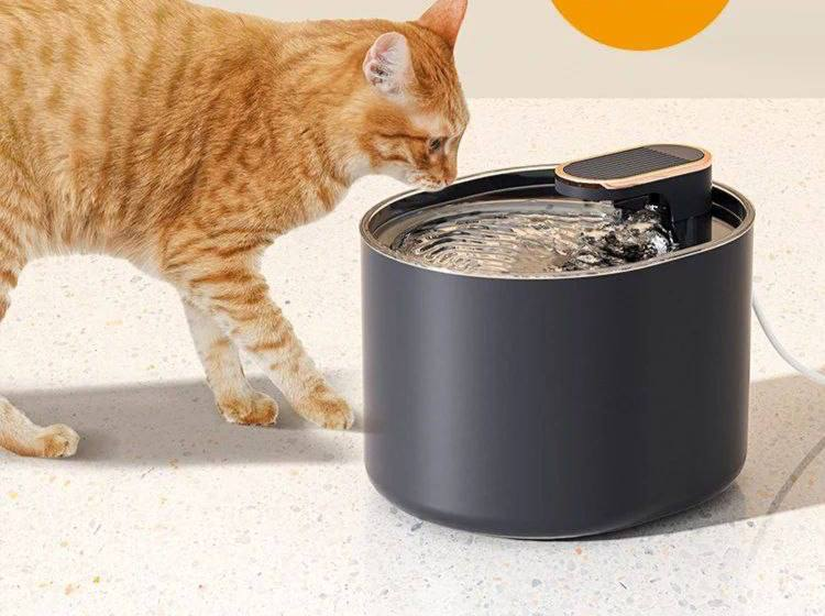 Fuente de agua automática para mascotas (Código: 17120-230). 13.0