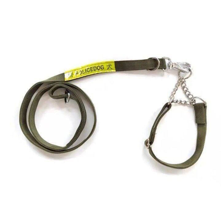 Correa para Perros -de 2.0 cm x 120 cm. Modelo TY-8205 11.0 MASCOTAS