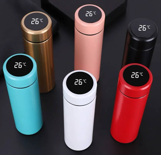 Termo Digital con Pantalla LED 1.0
