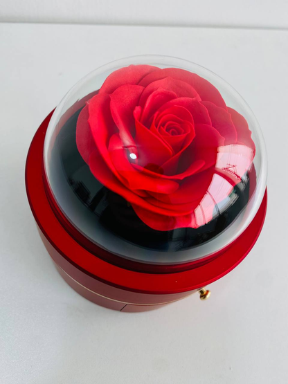 Z- Joyero con Rosa Encapsulada 4.0