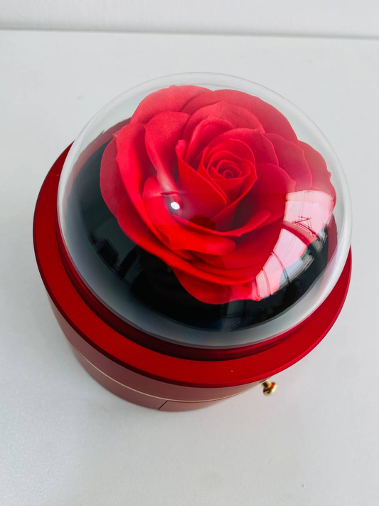 Z- Joyero con Rosa Encapsulada 4.0