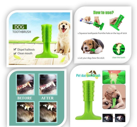 Cepillo Dental para Perros SA-003 🐶🪥