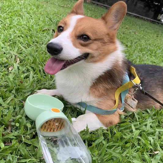 Botella de agua + contenedor de comida portátil para mascotas. 2.0