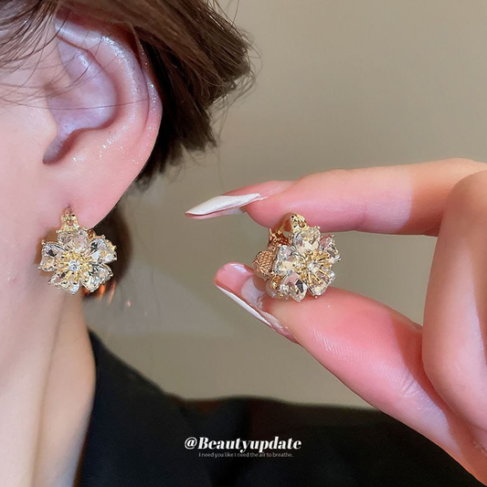 Aretes Golfied Coreano- B1