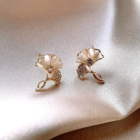 Aretes Golfied Coreano- B1