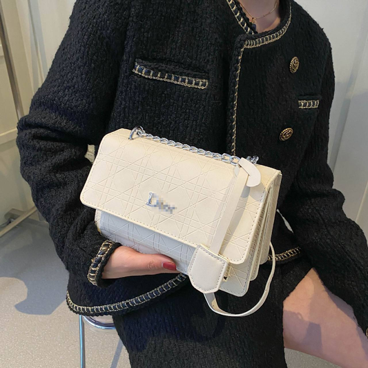 A. Cartera elegante Dior 14.0