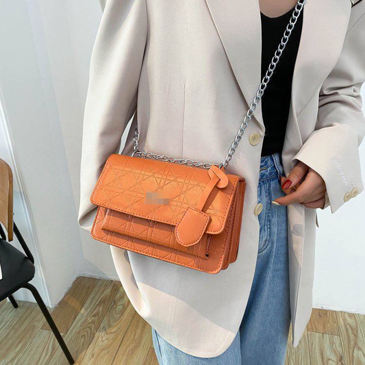 A. Cartera elegante Dior 14.0