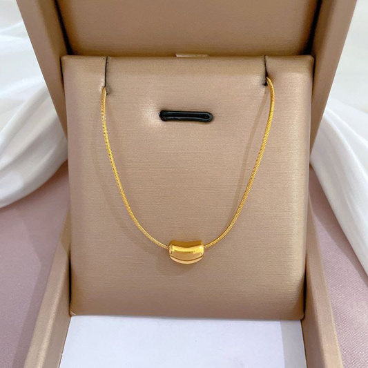 Collar  Acero Quirurgico  B1