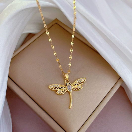 Collar  Acero Quirurgico  B1