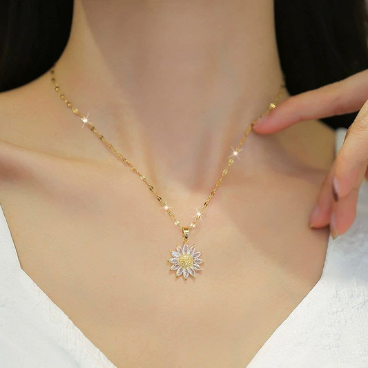 Collar  Acero Quirurgico  B1