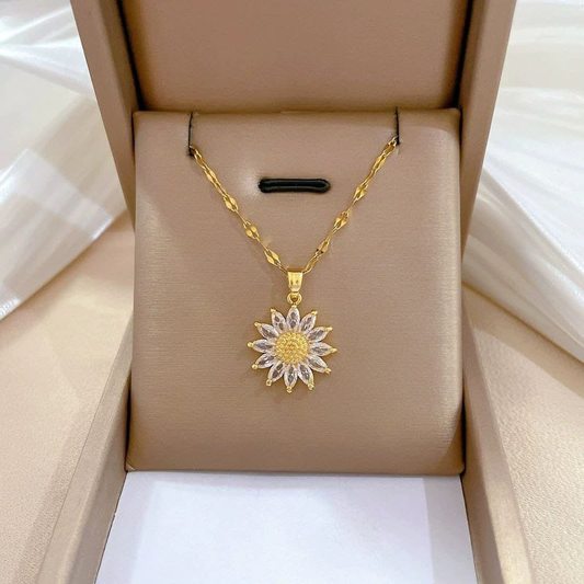 Collar  Acero Quirurgico  B1