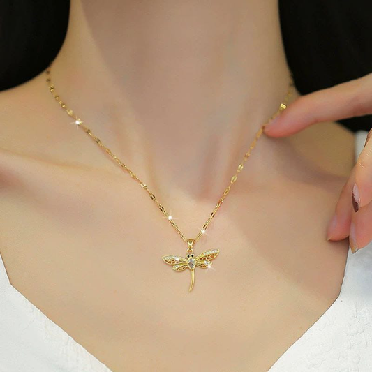 Collar  Acero Quirurgico  B1