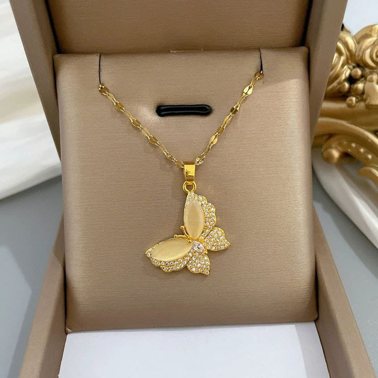 Collar  Acero Quirurgico  B1