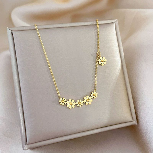 Collar  Acero Quirurgico  B1