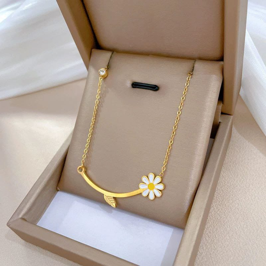 Collar  Acero Quirurgico  B1