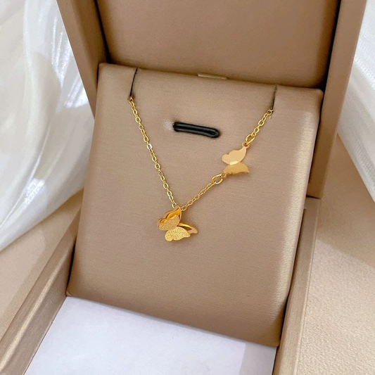 Collar  Acero Quirurgico  B1