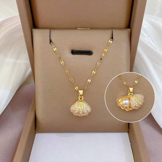 Collar  Acero Quirurgico  B1