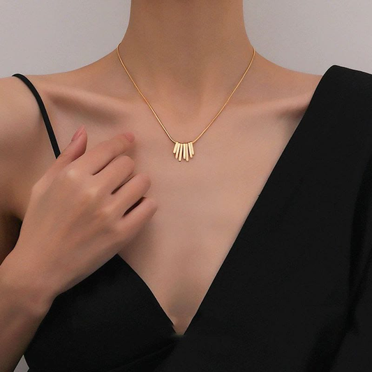 Collar  Acero Quirurgico  B1