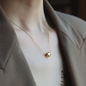 Collar en Acero Quirurgico B1