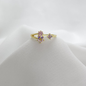 B-Anillo Material  Goldfied B1