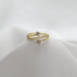 B-Anillo Material  Goldfied B1