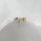 B-Anillo Material  Goldfied B1