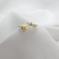 B-Anillo Material  Goldfied B1