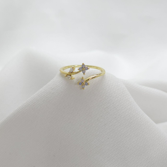 B-Anillo Material  Goldfied B1