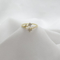B-Anillo Material  Goldfied B1