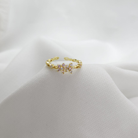 B-Anillo Material  Goldfied B1