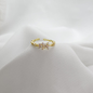 B-Anillo Material  Goldfied B1