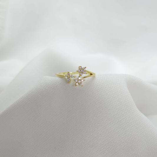 B-Anillo Material  Goldfied B1