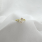 B-Anillo Material  Goldfied B1
