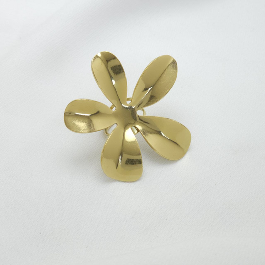Anillo en Acero Quirurgico B1