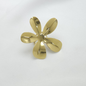 Anillo en Acero Quirurgico B1