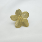 Anillo en Acero Quirurgico B1