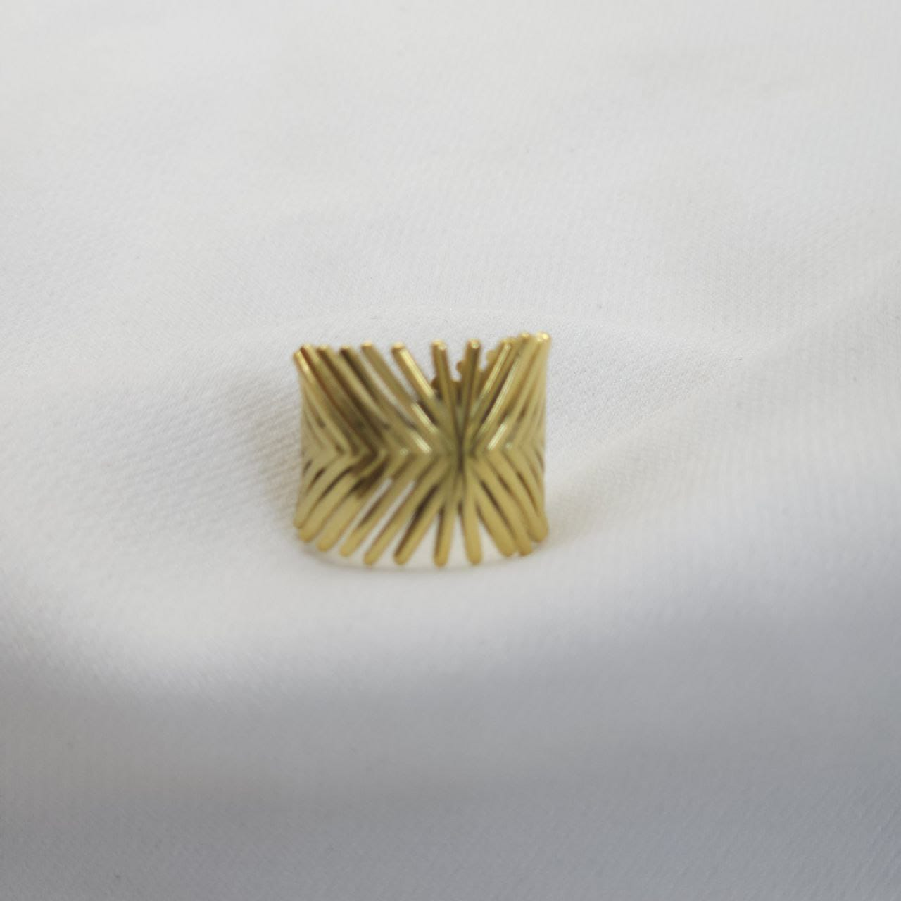 B-Anillo en Acero Quirurgico B1