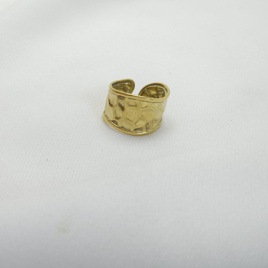 B-Anillo en Acero Quirurgico B1