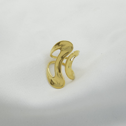 B-Anillo en Acero Quirurgico B1