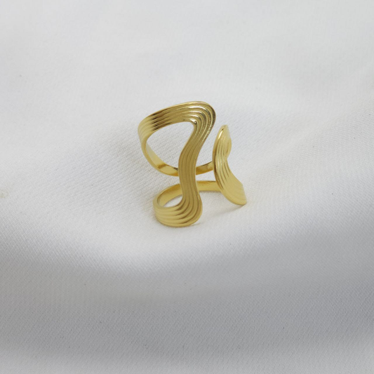 B-Anillo en Acero Quirurgico B1