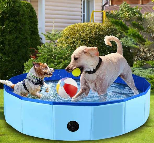 🐶 PISCINA PARA MASCOTAS 13.0 - MASCOTA -
