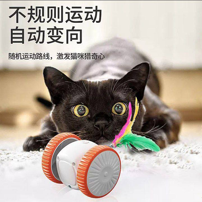 🐾 JUGUETE INTERACTIVO PARA GATOS  13.0
