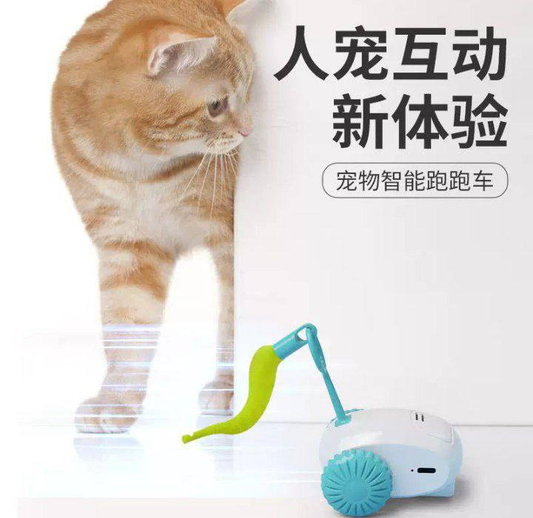 🐱 JUGUETE INTERACTIVO PARA GATOS + CONTROL REMOTO 13.0