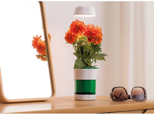 Luz LED para plantas de interior + sistema de autoriego  13.0
